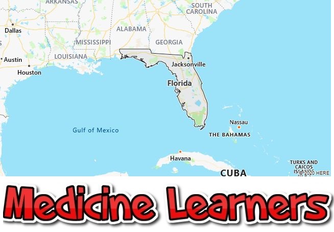 Florida Medical Schools
