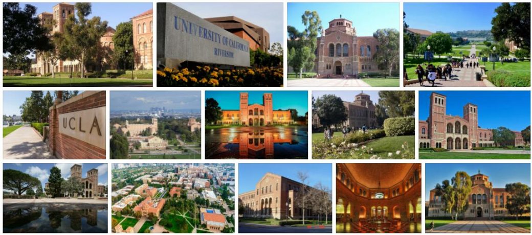 University of California Los Angeles 4