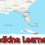Top Medical Schools in Florida